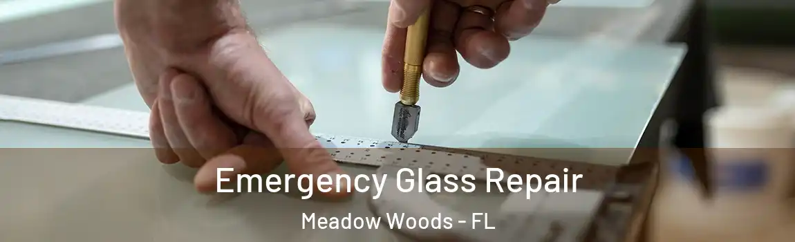 Emergency Glass Repair Meadow Woods - FL