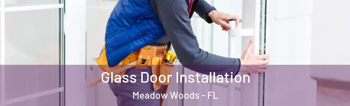 Glass Door Installation Meadow Woods - FL