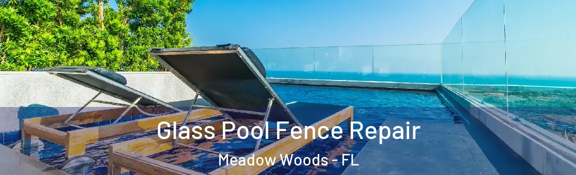 Glass Pool Fence Repair Meadow Woods - FL