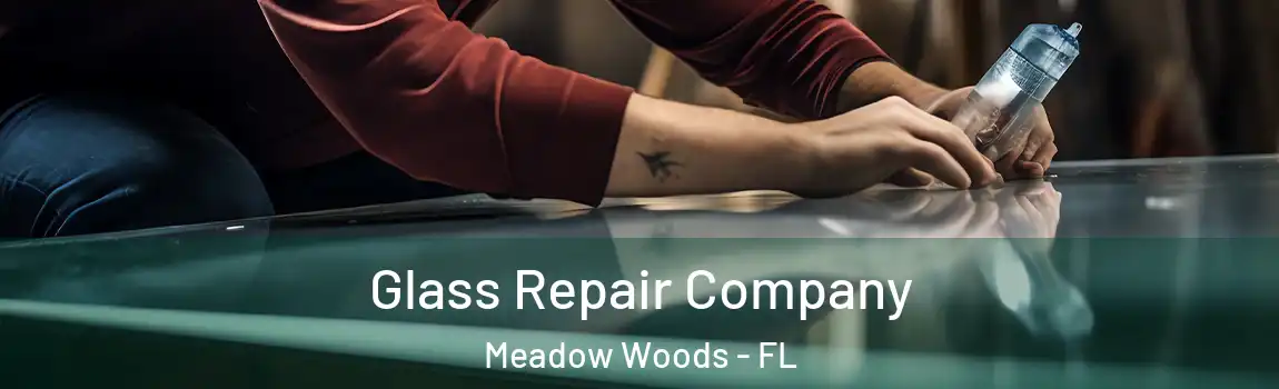 Glass Repair Company Meadow Woods - FL