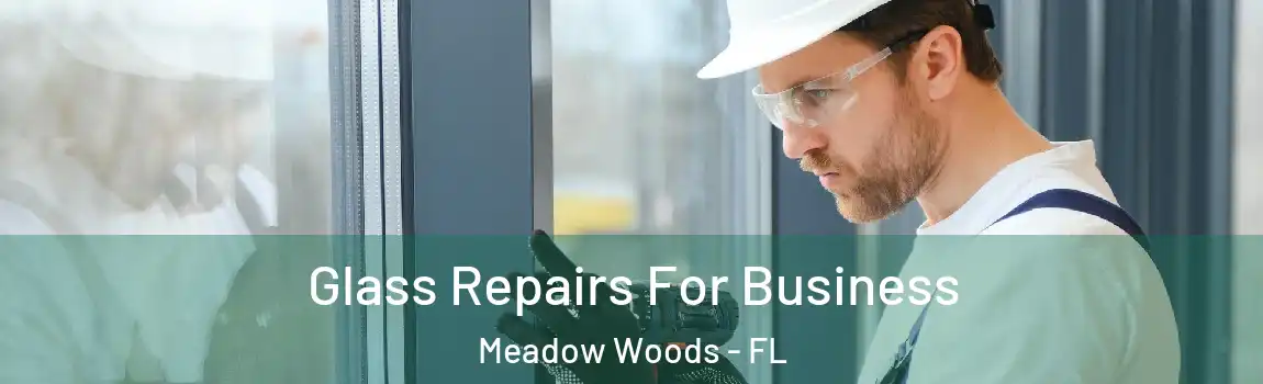 Glass Repairs For Business Meadow Woods - FL
