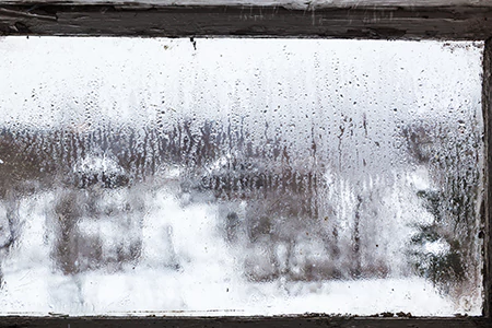 Defogging Double Pane Windows in Meadow Woods, FL