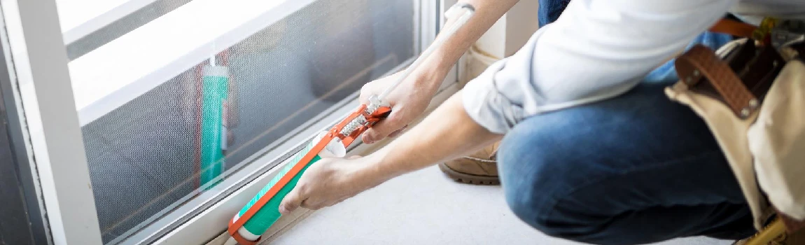 Emergency Window Replacement Services in Meadow Woods, FL