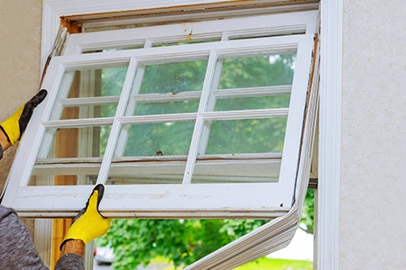 Window Replacement in Meadow Woods, FL