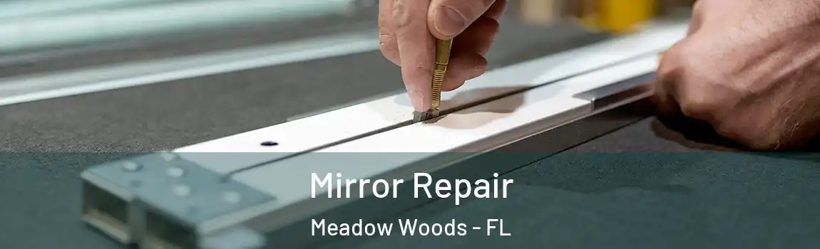 Mirror Repair Meadow Woods - FL