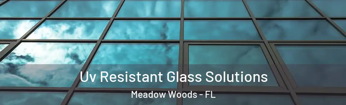 Uv Resistant Glass Solutions Meadow Woods - FL