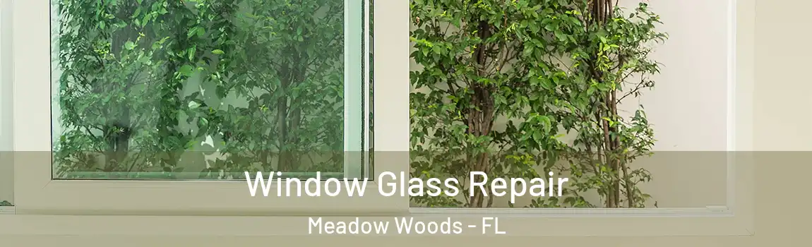 Window Glass Repair Meadow Woods - FL