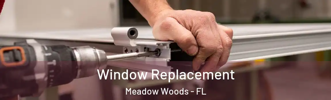 Window Replacement Meadow Woods - FL